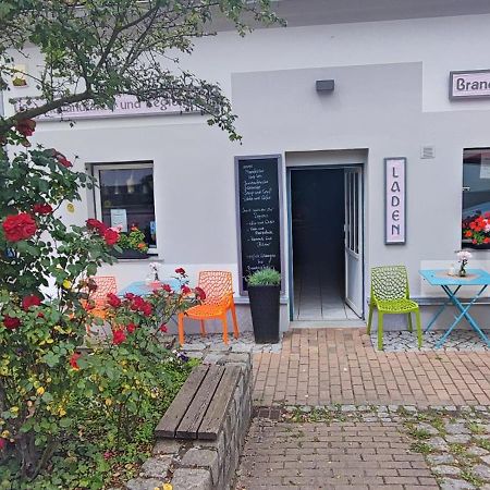 Dorfstrasse 21 Ferienwohnung 3 シュヴィーローゼー エクステリア 写真