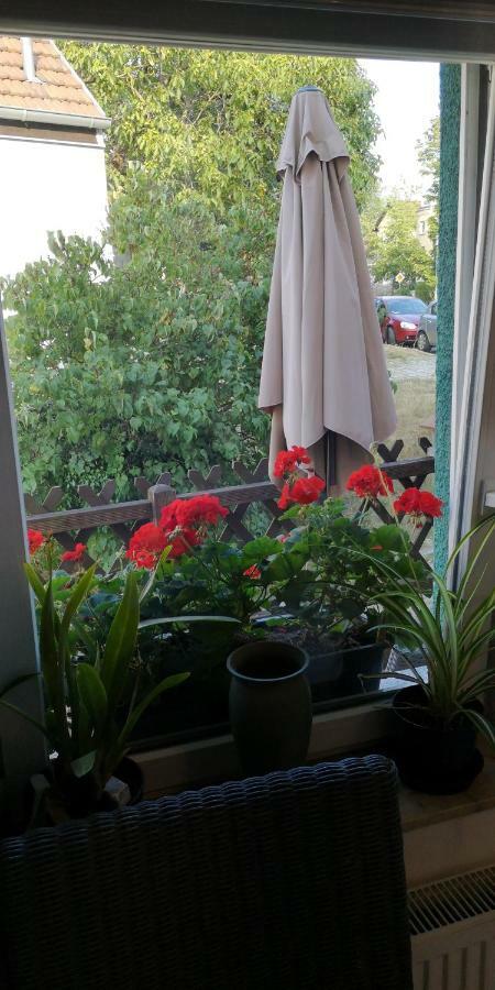 Dorfstrasse 21 Ferienwohnung 3 シュヴィーローゼー エクステリア 写真